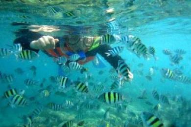 Indahnya terumbu karang dan ikan-ikan di sekitar lokasi